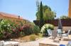 Garden 1